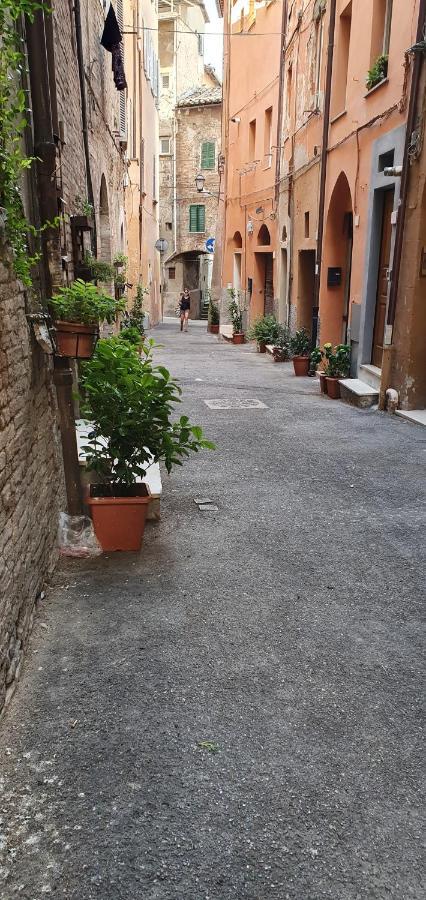 B&B Serena Περούτζια Εξωτερικό φωτογραφία